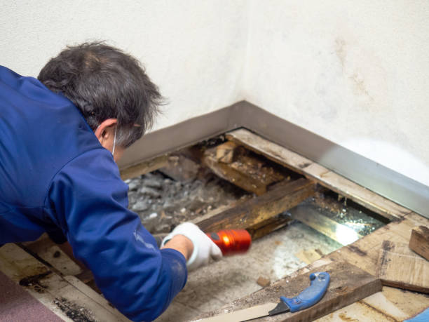 Water Damage Restoration in Addison, TX