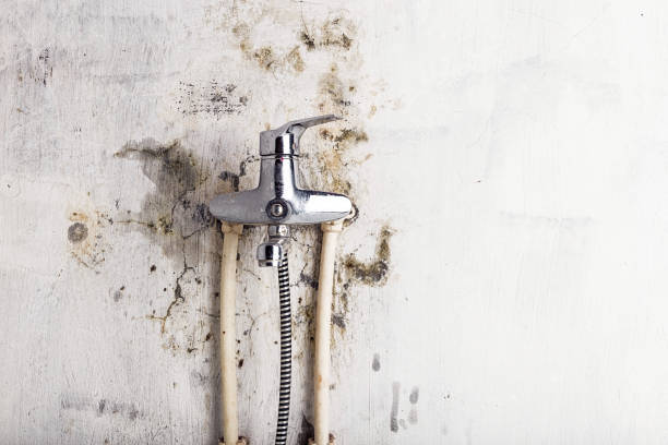 Best Water Damage Restoration  in Addison, TX