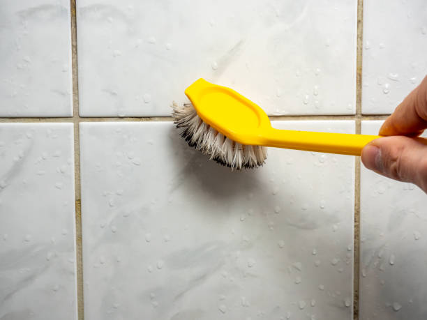 Best Fast Mold Removal  in Addison, TX