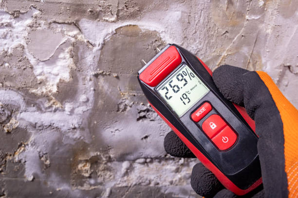 Best Mold Damage Repair  in Addison, TX