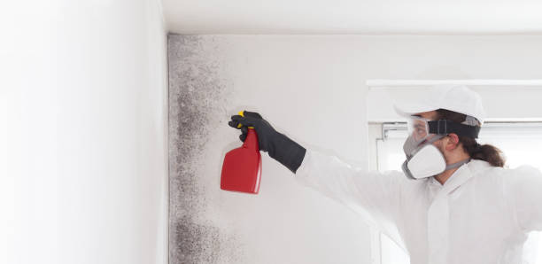 Best Mold Testing  in Addison, TX