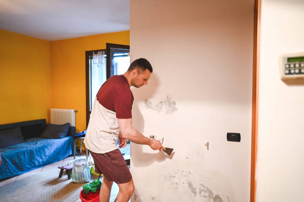 Best Commercial Mold Removal  in Addison, TX